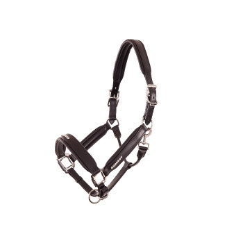 Anky: Licol Halter (New)