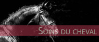 Soins du cheval