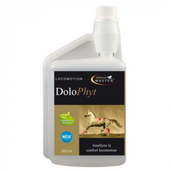 Horse master: DOLOPHYT