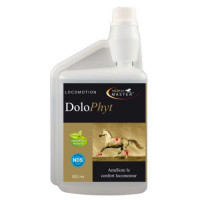 Horse master: DOLOPHYT