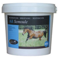 Foran: Ail semoule pot de 1 kg