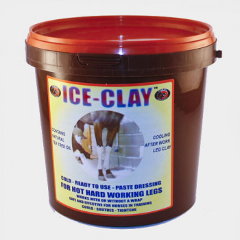 Ice Clay