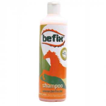 Befix Shampooing + Démêlant