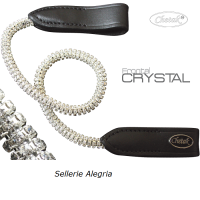 Chetak: Frontal Crystal Bright